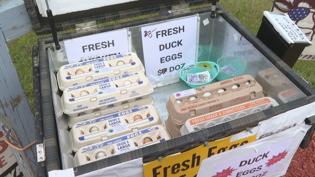 Ke'eeps Backyard in Portsmouth R.I. sells farm-fresh eggs in a outdoor cooler. They use an honor box to keep track of egg sales.  (WJAR) 