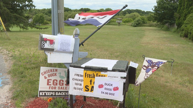 Ke'eeps Backyard in Portsmouth R.I. sells farm-fresh eggs in a outdoor cooler. They use an honor box to keep track of egg sales. (WJAR) 